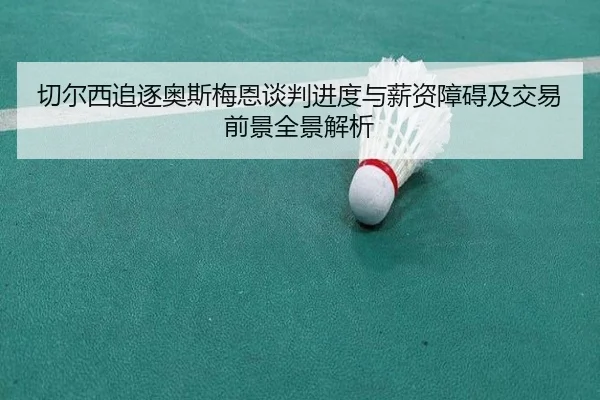 切尔西追逐奥斯梅恩谈判进度与薪资障碍及交易前景全景解析